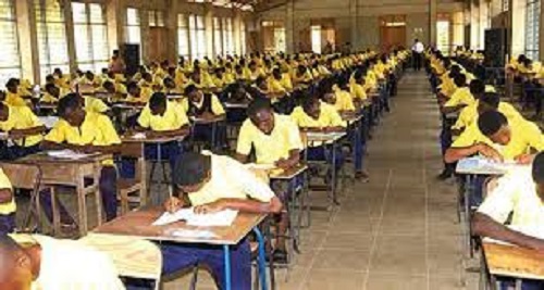 2024 School Placement Released 447698 Students Secure Automatic