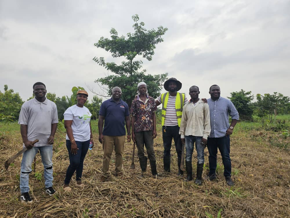 World Environment Day 2024: KNUST Students, Lecturers plant over 1000 ...